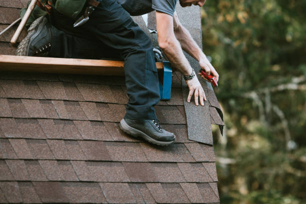 Best Roof Waterproofing Services  in Farmersburg, IN